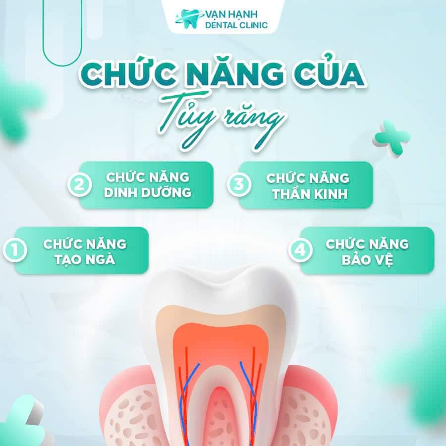 Banner tin tức